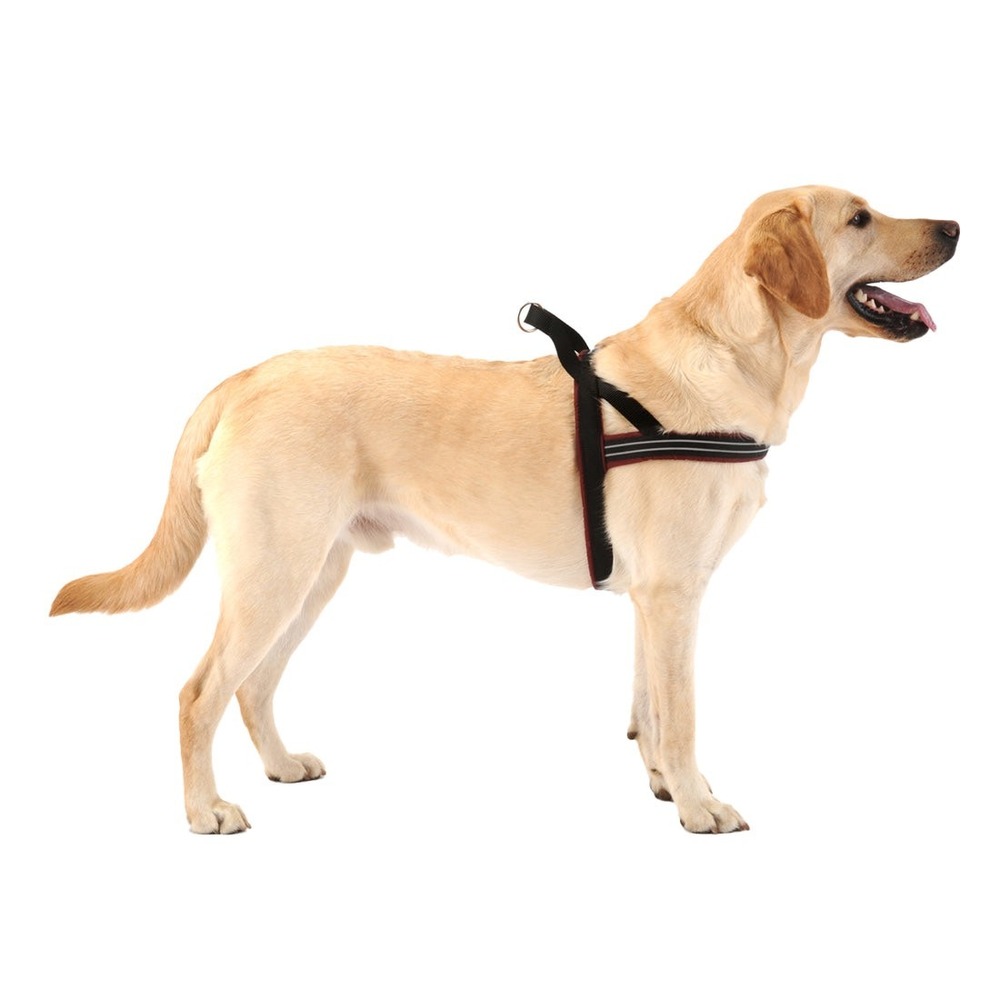 ComfortFlex Sport Dog Harness Berry Blue Size S/M Padded Reflective Made in USA